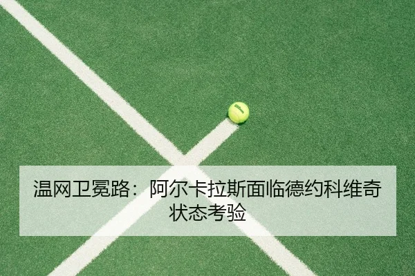 wen-wang-wei-mian-lu-a-er-ka-la-si-mian-lin-de-yue-ke-wei-qi-zhuang-tai-kao-yan-2-848.jpg