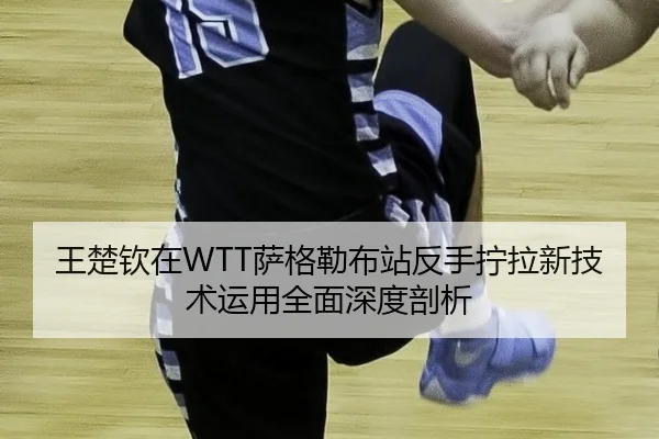 wang-chu-qin-zai-sa-ge-lei-bu-zhan-fan-shou-ning-la-xin-ji-shu-yun-yong-quan-mian-shen-du-pou-xi-2-686.jpg