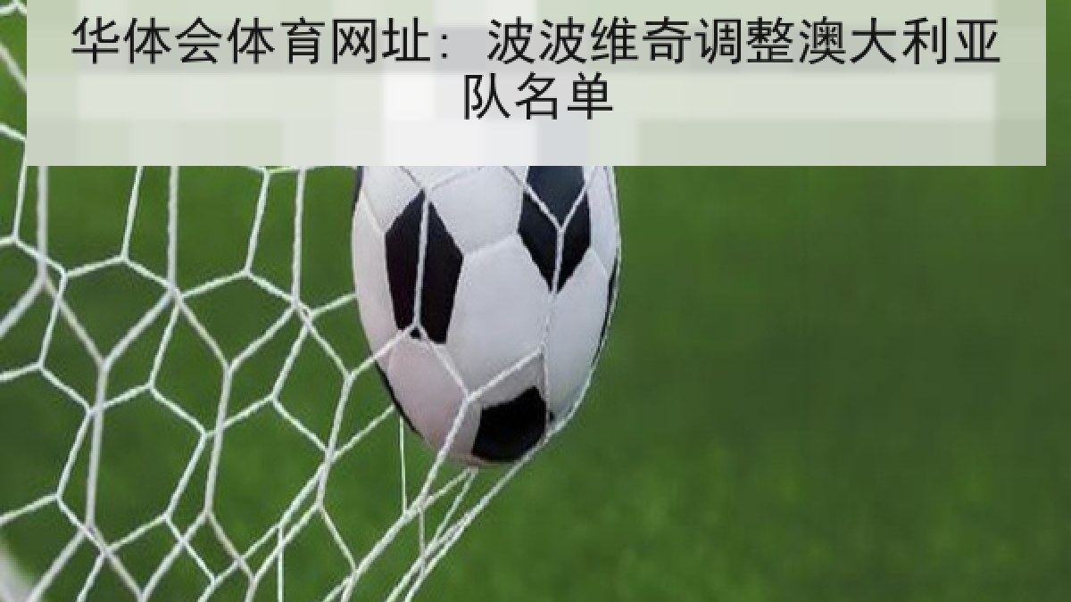 华体会体育网址: 波波维奇调整澳大利亚队名单